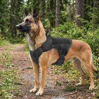 Harnais en Y anti-traction pour chien : stop aux blessures quand il tire