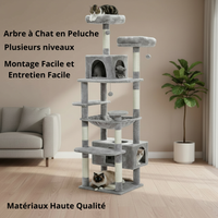 Arbre à Chat Multi-Niveaux pour Appartement - Idéal Chats Grimpeurs et Actifs