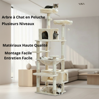 Arbre à Chat Multi-Niveaux pour Appartement - Idéal Chats Grimpeurs et Actifs