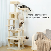 Arbre à Chat Multi-Niveaux pour Appartement - Idéal Chats Grimpeurs et Actifs
