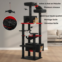 Arbre à Chat Multi-Niveaux pour Appartement - Idéal Chats Grimpeurs et Actifs