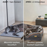 Comparaison avant-après : lévrier gris senior mal installé sur un tapis standard (mauvais soutien, inconfort) vs lévrier gris détendu sur un panier orthopédique gris avec liseré orange (soutien optimal, confort supérieur).