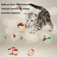 Jouet Interactif d'Entraînement de Balle à Gratter en Sisal pour Chaton