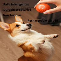 Balle Intelligente pour Chien Actif qui s'Ennuie plus Coque de Remplacement- Stimulation Mentale Automatique