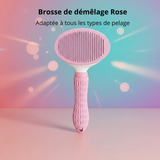 Brosse Démêlante pour Chien et Chat qui Perdent leurs Poils - Anti-Mue