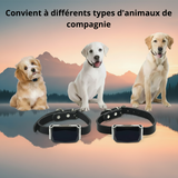 Traceur GPS Intelligent pour Chien et Chat – Ne Perdez plus Jamais votre Compagnon