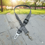 Ceinture de Sécurité pour Chien en Voiture - Idéale Voyages et Chiens Anxieux