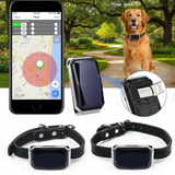 Traceur GPS Intelligent pour Chien et Chat – Ne Perdez plus Jamais votre Compagnon