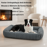 Panier Anti-Arthrose pour Chien Senior - Soulagement Visible en 7 Jours