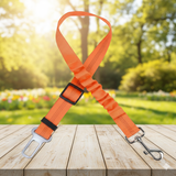 Ceinture de Sécurité pour Chien en Voiture - Idéale Voyages et Chiens Anxieux