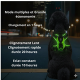 Harnais LED Rechargeable pour Chien - Promenades Nocturnes Sécurisées (Toutes Tailles)