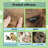 Spray Anti-Acariens Puissant et Naturel – Stop Démangeaisons & Puces pour Chiens et Chats
