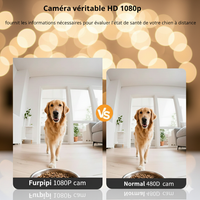 Distributeur Automatique pour Chat et Chien - Idéal Propriétaires Absents avec Caméra HD et Wi-Fi