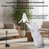 Bâton à Plume  pour Chat - Jouet Stimulant pour Chaton et Chat Adulte