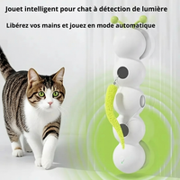 Chenille Queue Vis sans Fin