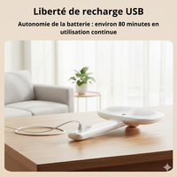 Brosse Vapeur 3-en-1 pour Chiens et Chats – Élimine 90% des Poils Morts, Hydrate et Démêle le Pelage