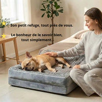 Bouledogue français beige endormi sur un lit orthopédique gris surélevé, femme souriante qui le caresse dans un salon lumineux et épuré.