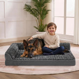 Berger allemand et enfant souriants assis ensemble sur un grand lit orthopédique gris anthracite moelleux, salon lumineux avec plante verte.