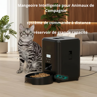 Mangeoire intelligente pour animaux de compagnie