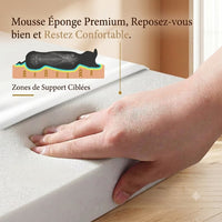 Main pressant la mousse éponge premium du panier orthopédique pour chien, illustrant les zones de support ciblées qui soulagent les articulations et garantissent un confort optimal