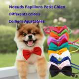 "Nœud Papillon Réglable pour Petit Chien et Chat".