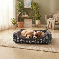 Deux adorables chiots, un Golden Retriever et un Cavalier King Charles Spaniel, blottis ensemble dans un panier bleu marine à motifs dans un salon lumineux avec des plantes vertes.