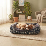 Deux adorables chiots, un Golden Retriever et un Cavalier King Charles Spaniel, blottis ensemble dans un panier bleu marine à motifs dans un salon lumineux avec des plantes vertes.