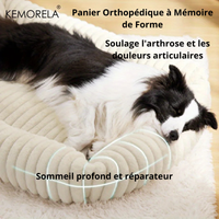 Panier Anti-Arthrose pour Chien Senior - Soulagement Visible en 7 Jours