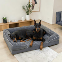 Deux Dobermans noir et feu installés ensemble dans un grand panier orthopédique gris anthracite avec surface en peluche texturée et rebords rembourrés, posé sur parquet clair dans un salon moderne avec meuble en bois