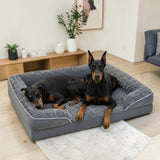 Deux Dobermans noir et feu installés ensemble dans un grand panier orthopédique gris anthracite avec surface en peluche texturée et rebords rembourrés, posé sur parquet clair dans un salon moderne avec meuble en bois