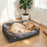 Deux labradors crème endormis ensemble dans un grand panier orthopédique gris avec bordure orange, posé sur un parquet clair dans un salon lumineux avec plante verte