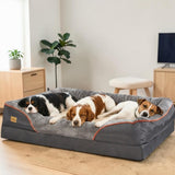Cavalier King Charles, Épagneul Breton et Jack Russell endormis ensemble dans un grand panier orthopédique gris anthracite avec bordure orange, dans un salon scandinave lumineux