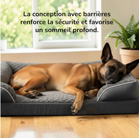 Malinois allongé et détendu dans un panier orthopédique gris avec rebords rembourrés, tête posée sur le bord, dans un intérieur lumineux avec plantes vertes - conception avec barrières pour un sommeil profond et sécurisé