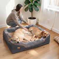  Deux labradors dorés endormis ensemble sur un grand panier orthopédique gris anthracite avec liseré orange, femme qui les caresse dans un salon lumineux.