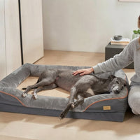 Grand lévrier gris allongé sur un panier orthopédique anthracite avec liseré orange, femme qui le caresse doucement dans un salon épuré et lumineux.
