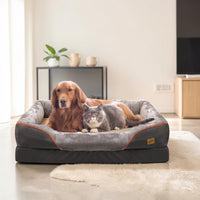 Golden Retriever et chat gris british shorthair installés ensemble dans un grand panier orthopédique gris anthracite avec rebords rembourrés et bordure orange, dans un salon moderne