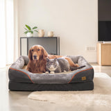 Golden Retriever et chat gris british shorthair installés ensemble dans un grand panier orthopédique gris anthracite avec rebords rembourrés et bordure orange, dans un salon moderne