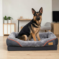 Berger allemand assis dans un grand panier orthopédique gris anthracite avec rebords rembourrés et bordure orange, dans un salon moderne au parquet clair