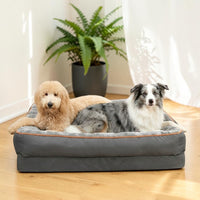 Goldendoodle crème et Border Collie gris allongés ensemble dans un grand panier orthopédique gris avec bordure orange, dans un intérieur lumineux