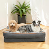 Goldendoodle crème et Border Collie gris allongés ensemble dans un grand panier orthopédique gris avec bordure orange, dans un intérieur lumineux