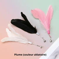 Bâton à Plume  pour Chat - Jouet Stimulant pour Chaton et Chat Adulte