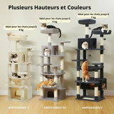 Arbre à Chat Multi-Niveaux pour Appartement - Idéal Chats Grimpeurs et Actifs