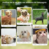 Shampoing 2 en 1 pour Chien à Peau Fragile - Naturel Hypoallergénique (Chiots et Adultes)