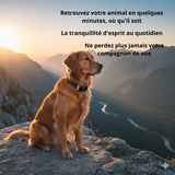 Traceur GPS Intelligent pour Chien et Chat – Ne Perdez plus Jamais votre Compagnon