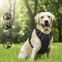 Harnais Anti-Traction pour Chien qui Tire en Laisse - Promenades Confortables
