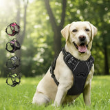 Harnais Anti-Traction pour Chien qui Tire en Laisse - Promenades Confortables