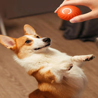 Balle Intelligente pour chien et coque de remplacement