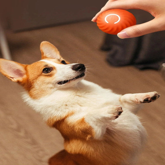 Balle Intelligente pour chien et coque de remplacement
