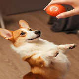 Balle Intelligente pour chien et coque de remplacement