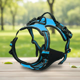 Harnais Anti-Traction pour Chien qui Tire en Laisse - Promenades Confortables